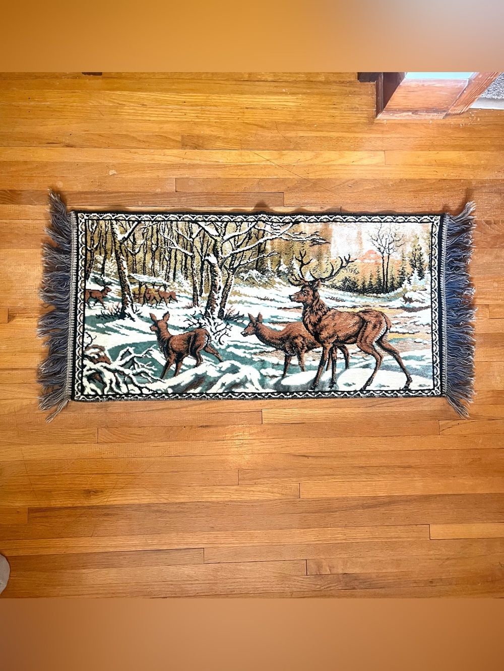 Vintage Velvet Italian Tapestry Rug Wall Hanging 44” x 19”